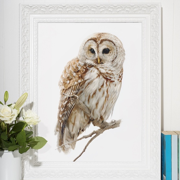 Watercolor Barred Owl Portrait Wall Art Print, Unframed - Mystical Woodland - Picture 6 of 6